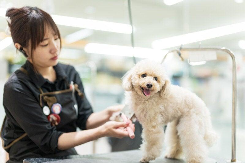 カインズ 東松山高坂店の仕事画像1