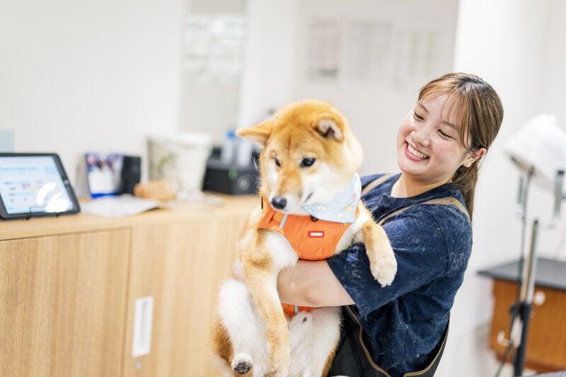 カインズ 東松山高坂店の仕事画像2