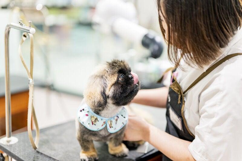 カインズ 東松山高坂店の仕事画像3