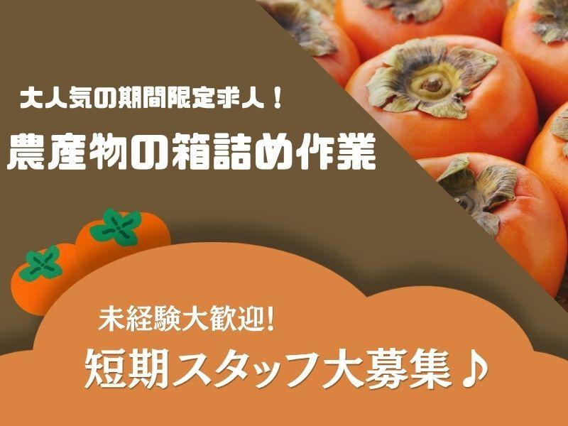 株式会社トリプル・ウィン 和歌山本社【001】の仕事画像1