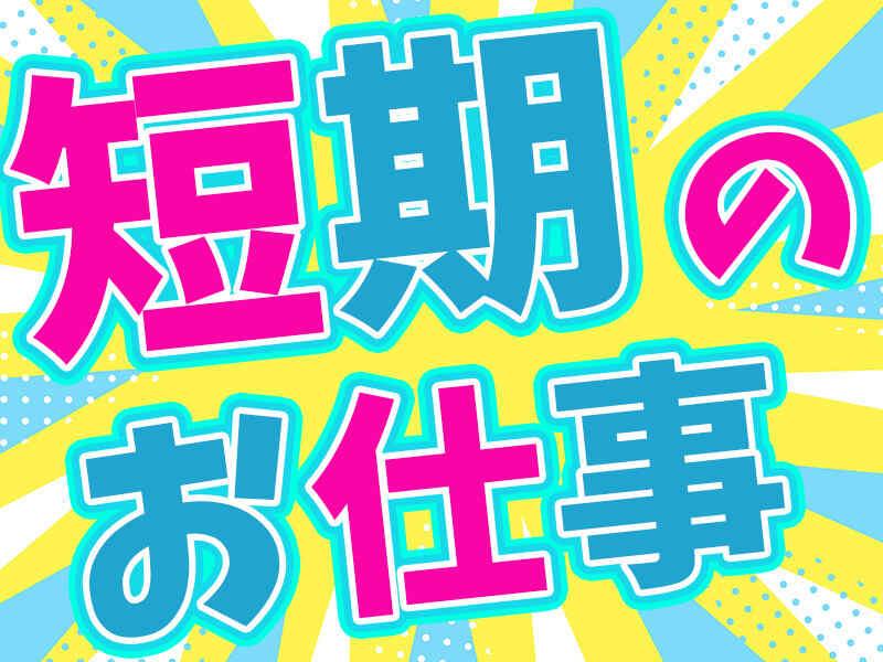 マトリクス・エスディ株式会社 【1】本社派遣の仕事画像2