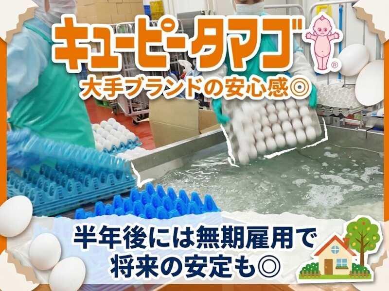 キユーピータマゴ株式会社 静岡工場の仕事画像1