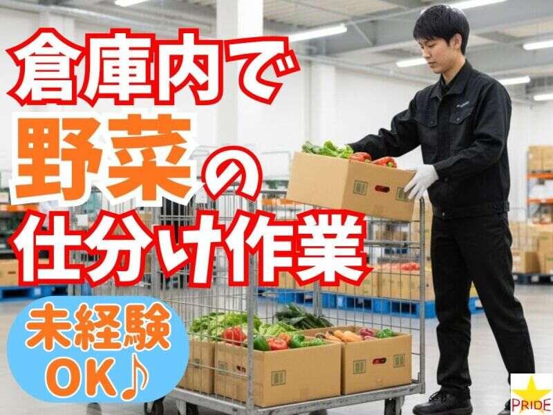 株式会社スタープライドの仕事画像1