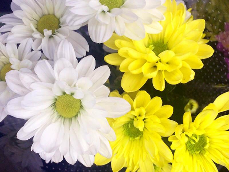 株式会社ファミマールの仕事画像3