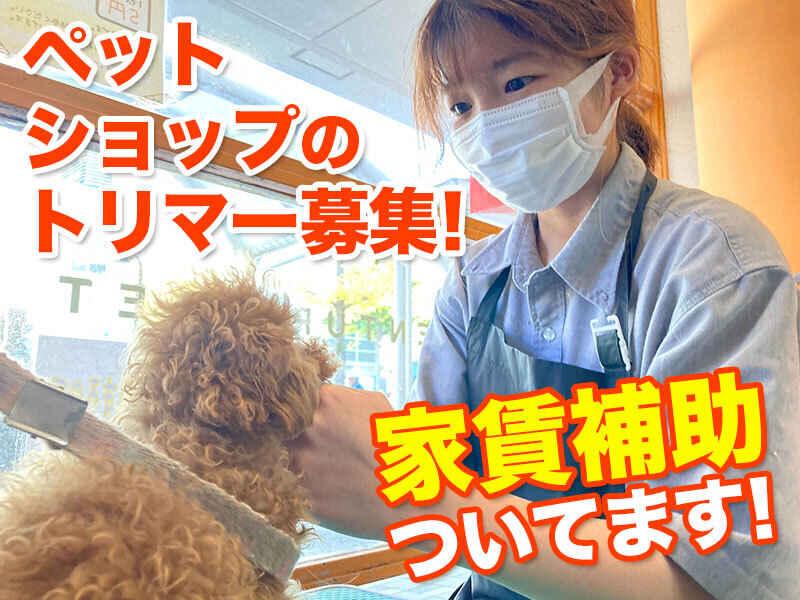 センチュリーペット姫路店の仕事画像1