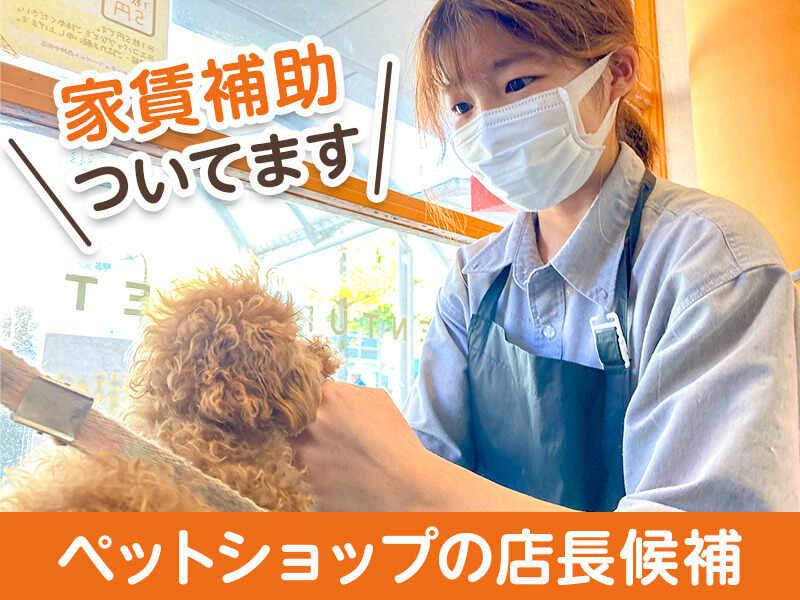 センチュリーペット姫路店の仕事画像1