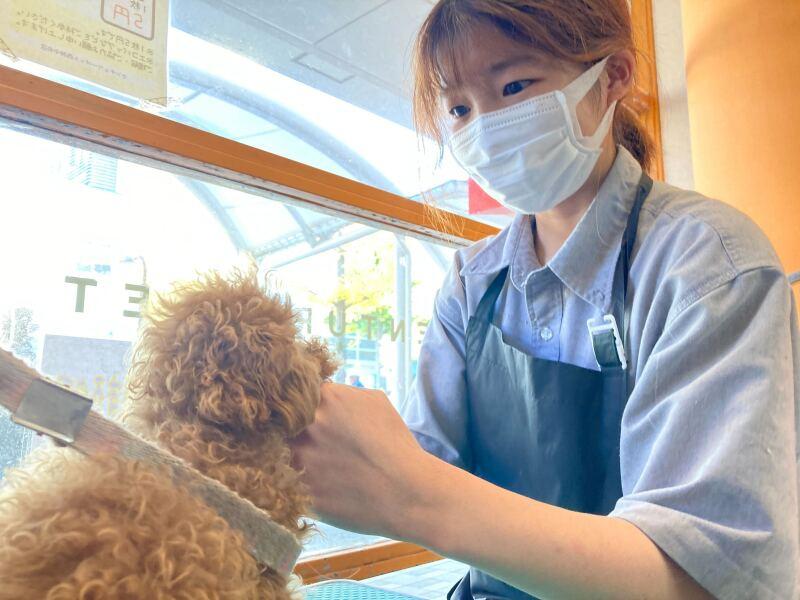 センチュリーペット西神中央店の仕事画像1