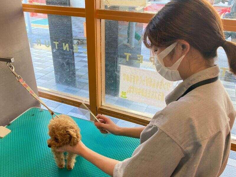 センチュリーペット西神中央店の仕事画像3