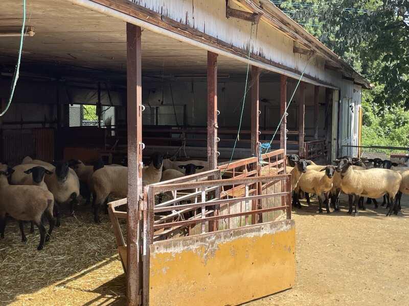 株式会社環境システムズ の仕事画像2