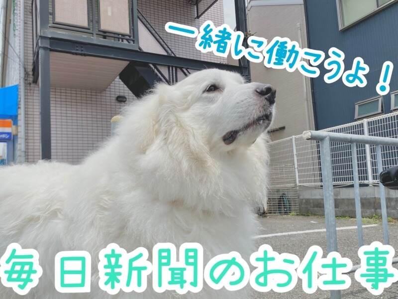 毎日新聞 松原北店の仕事画像1