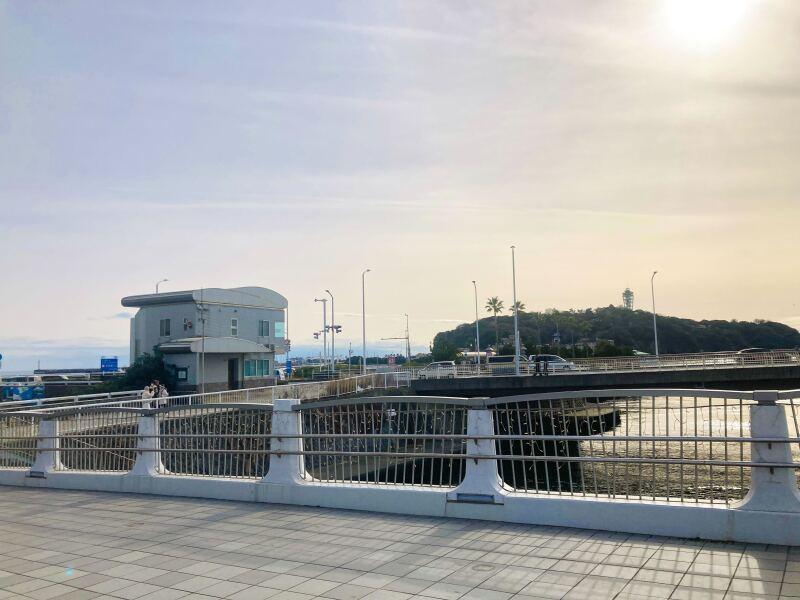 しらすと伊勢海老の忠兵衛の仕事画像3