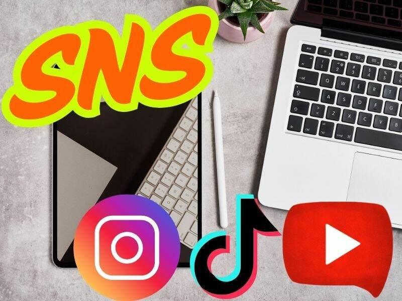 株式会社SUN LOTUS(サンロータス)の仕事画像2