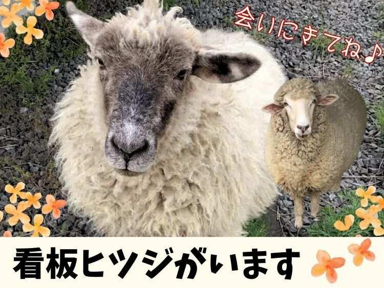 株式会社きんもくせいの仕事画像1