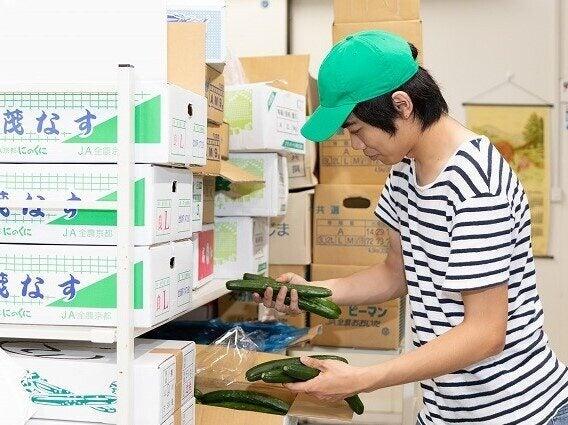 アイエヌジーベジタブル株式会社の仕事画像2