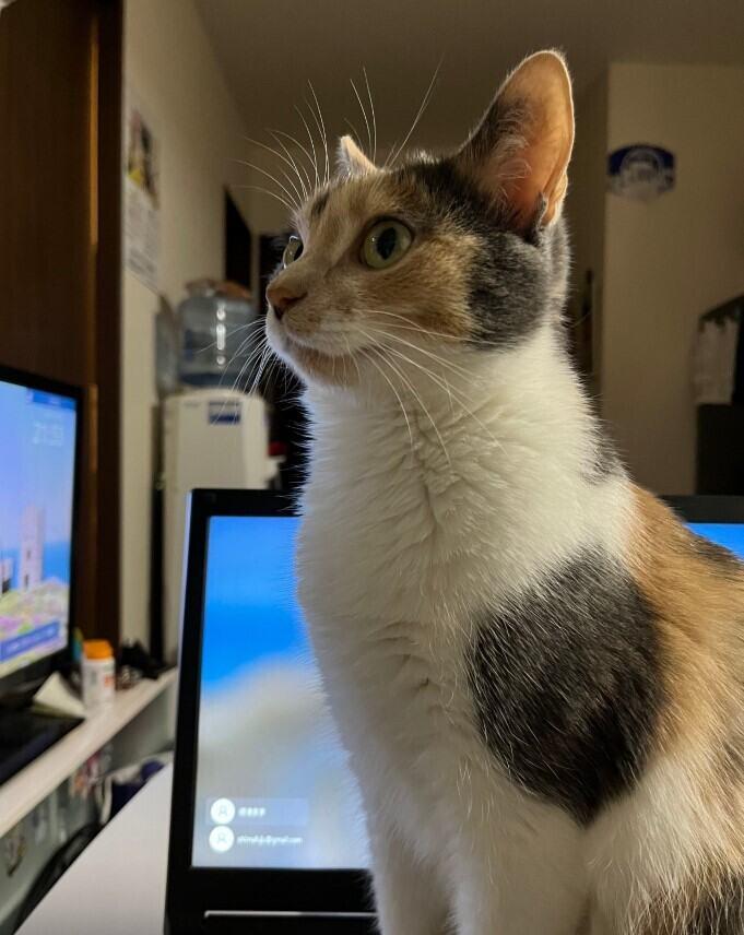 Fujyuセキュリティの制服1