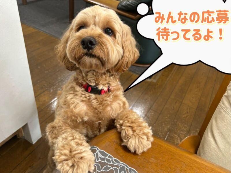 株式会社アスカ運輸の仕事画像1