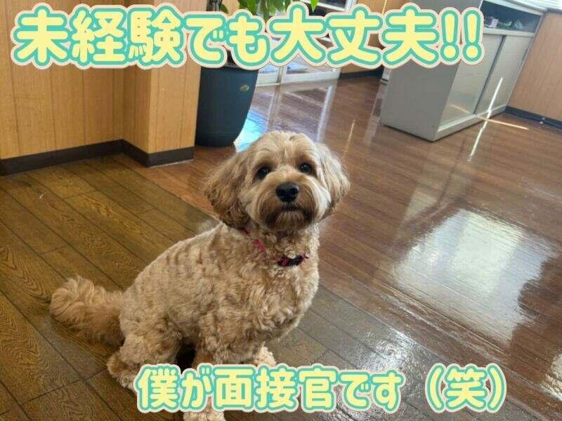 株式会社アスカ運輸の仕事画像1