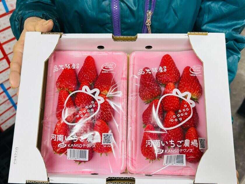 株式会社辻井商会の制服6