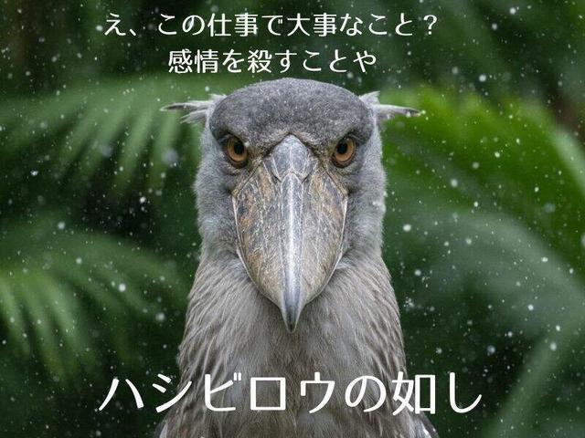 葬儀業界。感情?そんな暇ないです。高日給&祝い金でも無表情。(サービス、足立区)のイメージ画像