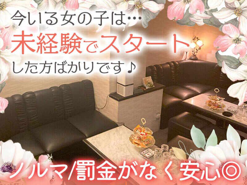 MEMBERS まき乃の仕事画像2