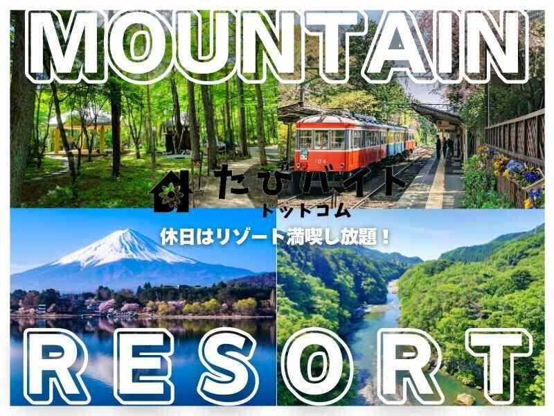 株式会社ストライプの仕事画像1