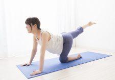 アルペンクイックフィットネス伏見丹波橋(株式会社コスモコーポレーション)の仕事画像1