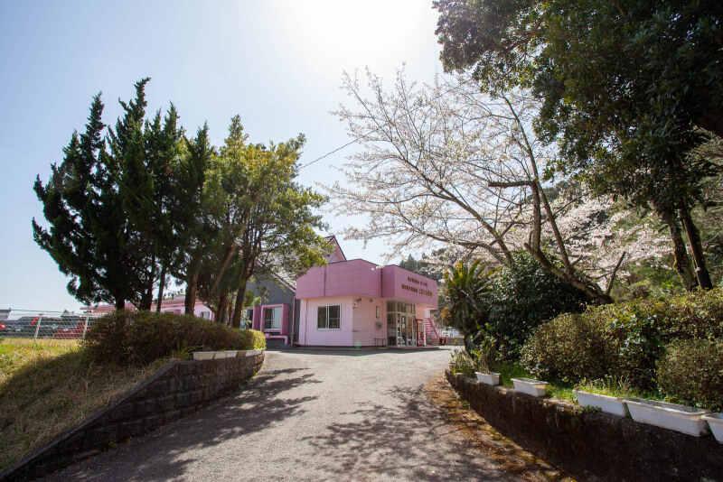 障害者支援施設こざくら学園の仕事画像3