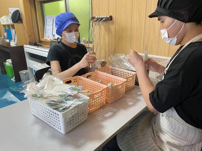 NPO法人みんなの希望 【001】の仕事画像3