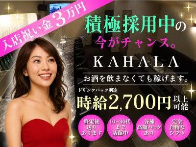 株式会社七大陸 カハラ採用窓口の仕事画像2