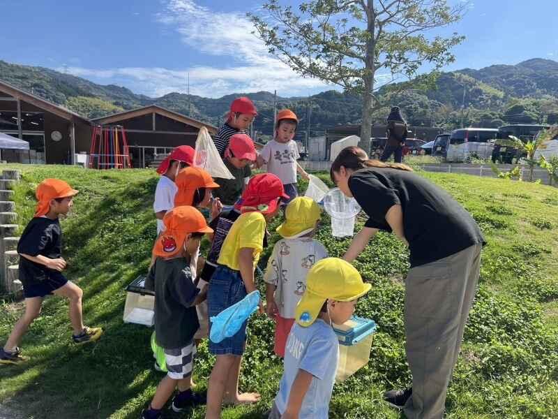 博多ピノキオこども園の仕事画像1