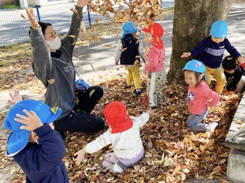 南畑ピノキオ森のこども園の仕事画像1