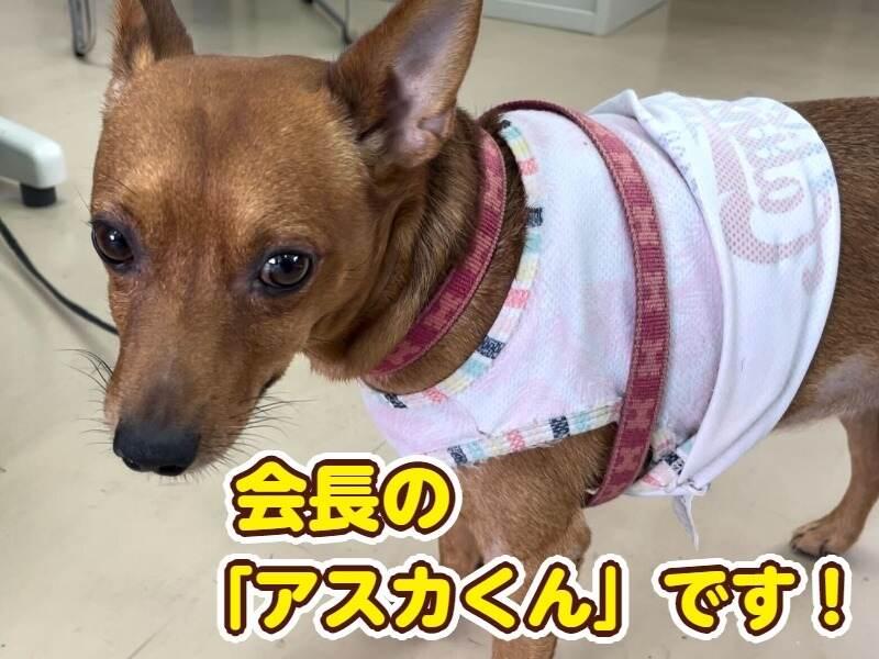 株式会社福丸耐火の仕事画像2