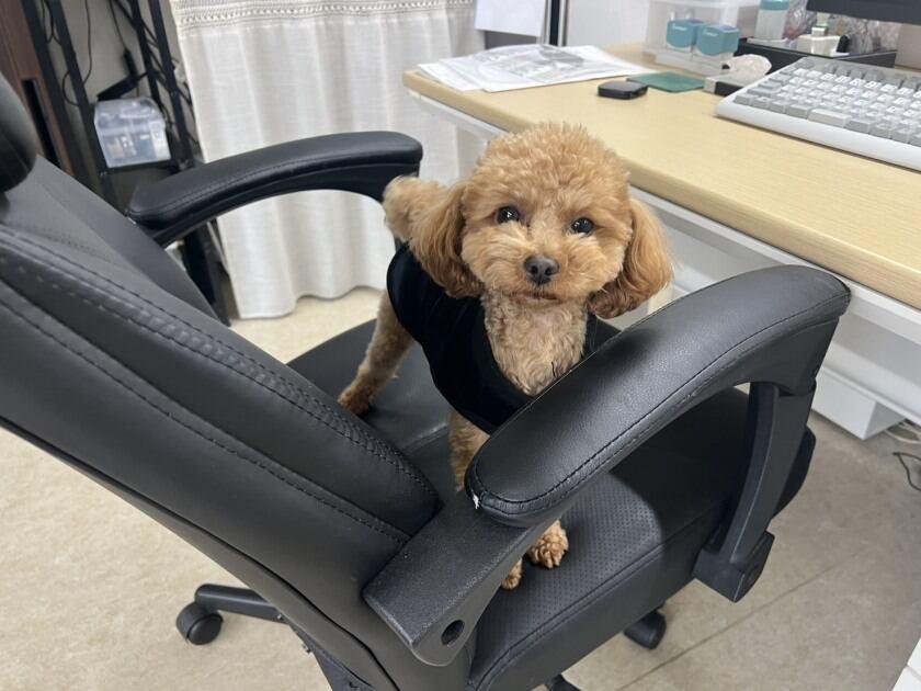 樹建設株式会社の制服5