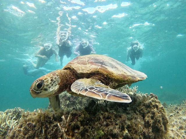 未経験OK!現役アナウンサーが社長!やりたいことが出来る将来へ!(オフィス、渋谷区)のイメージ画像