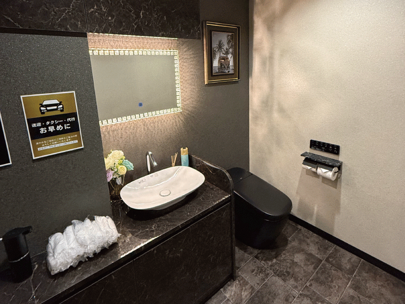 Lounge Aileの仕事画像2