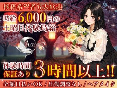 アルテミス 採用窓口の仕事画像1