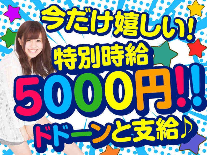 株式会社ブルースターの仕事画像1