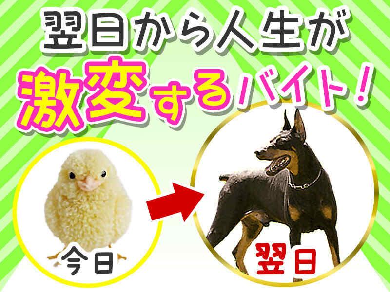 株式会社ブルースターの仕事画像1