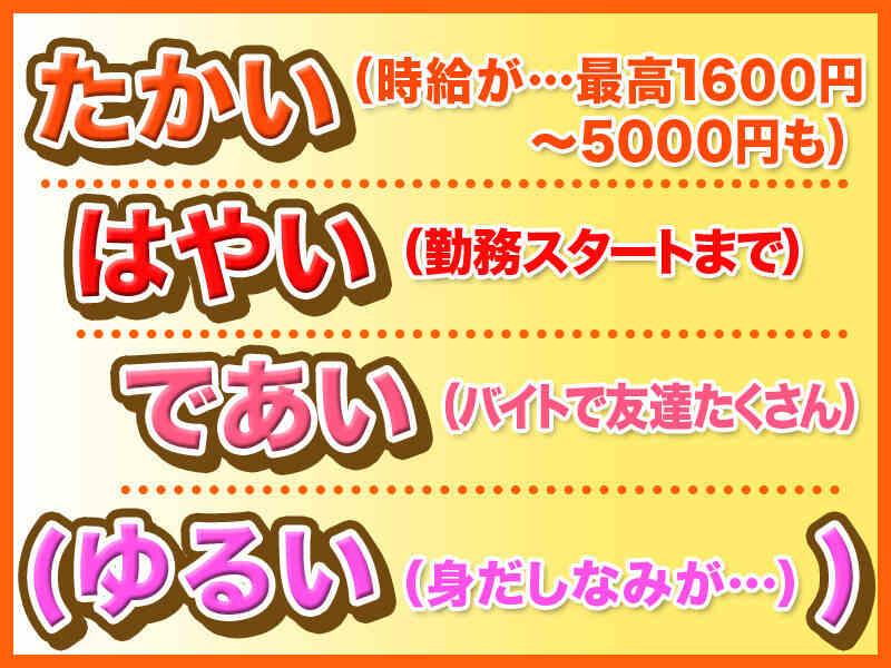 株式会社ブルースターの仕事画像1