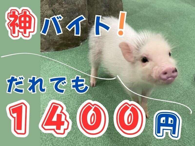 株式会社ブルースターの仕事画像2