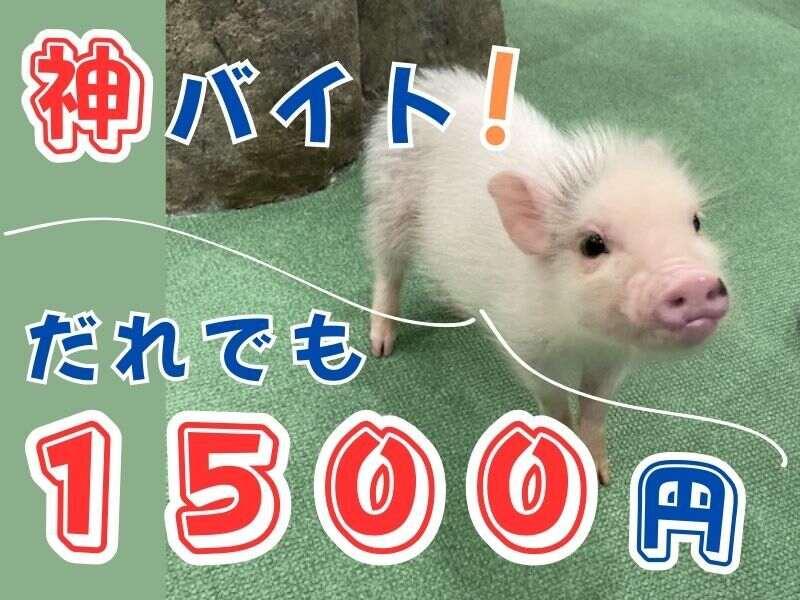 株式会社ブルースターの仕事画像1