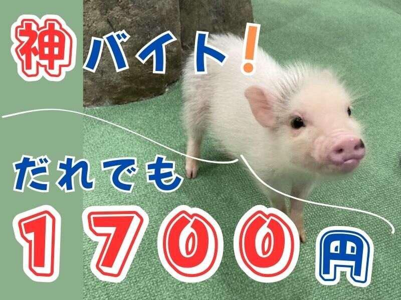 株式会社ブルースターの仕事画像2