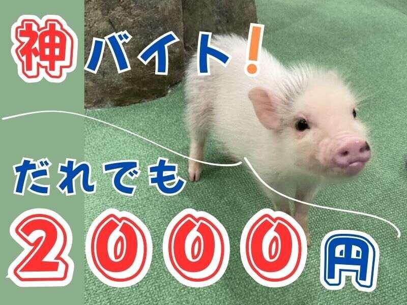 株式会社ブルースターの仕事画像1