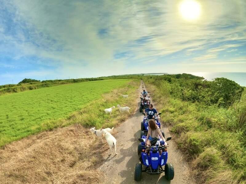 有限会社ぷしぃぬしまの仕事画像1