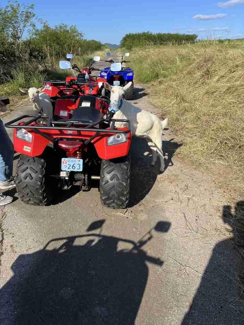 有限会社ぷしぃぬしまの制服2