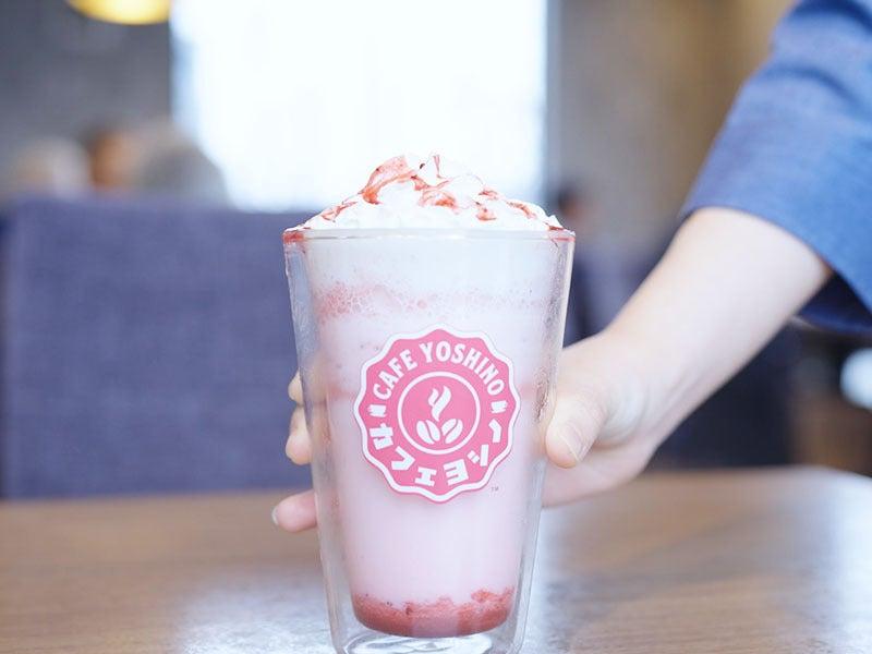 CAFE YOSHINO -カフェヨシノ- ロースタリーの制服1