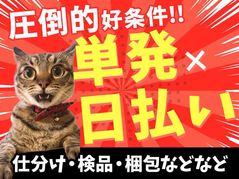 株式会社ビート ビート福岡支店【02】の仕事画像2