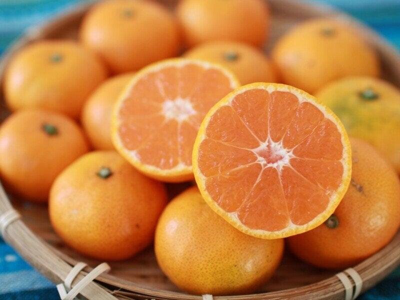 株式会社ユニックの仕事画像2