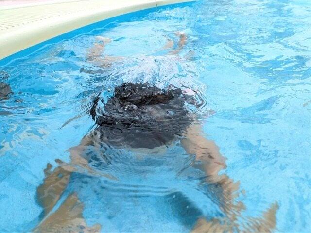 株式会社ユニックの仕事画像3