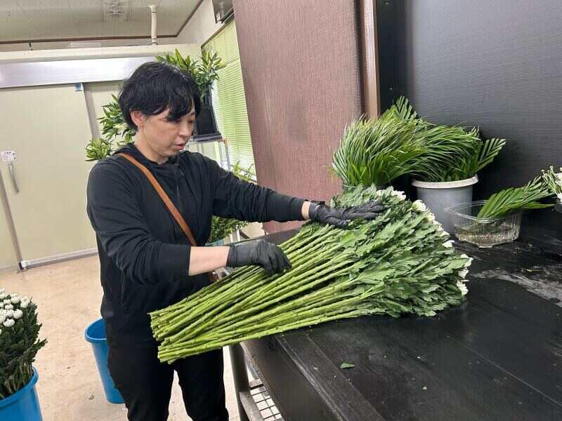 株式会社ビューティ花壇西日本 熊本ユニットの仕事画像3